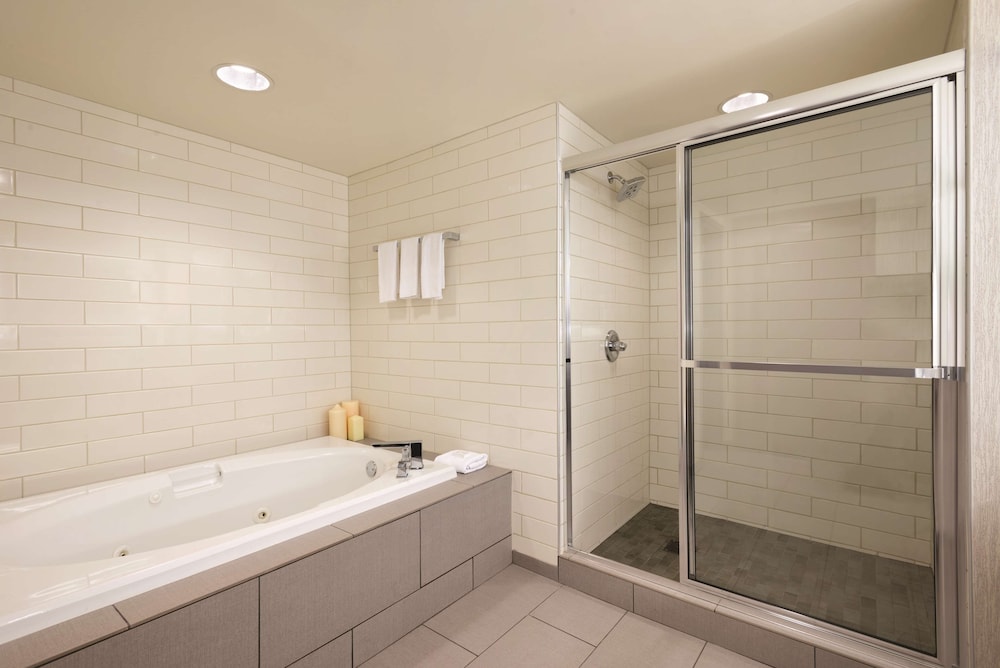 Embassy Suites by Hilton Atlanta at Centennial Olympic Park - photo 37