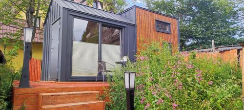 Dziko Hanka in Koscielisko, Poland