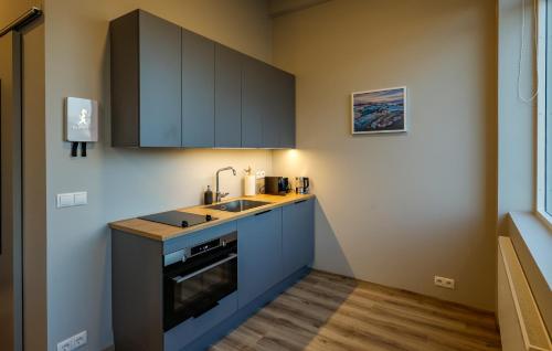Center Apartments Esja
