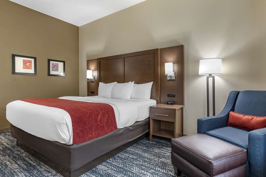 Comfort Inn & Suites Downtown near University - photo 40