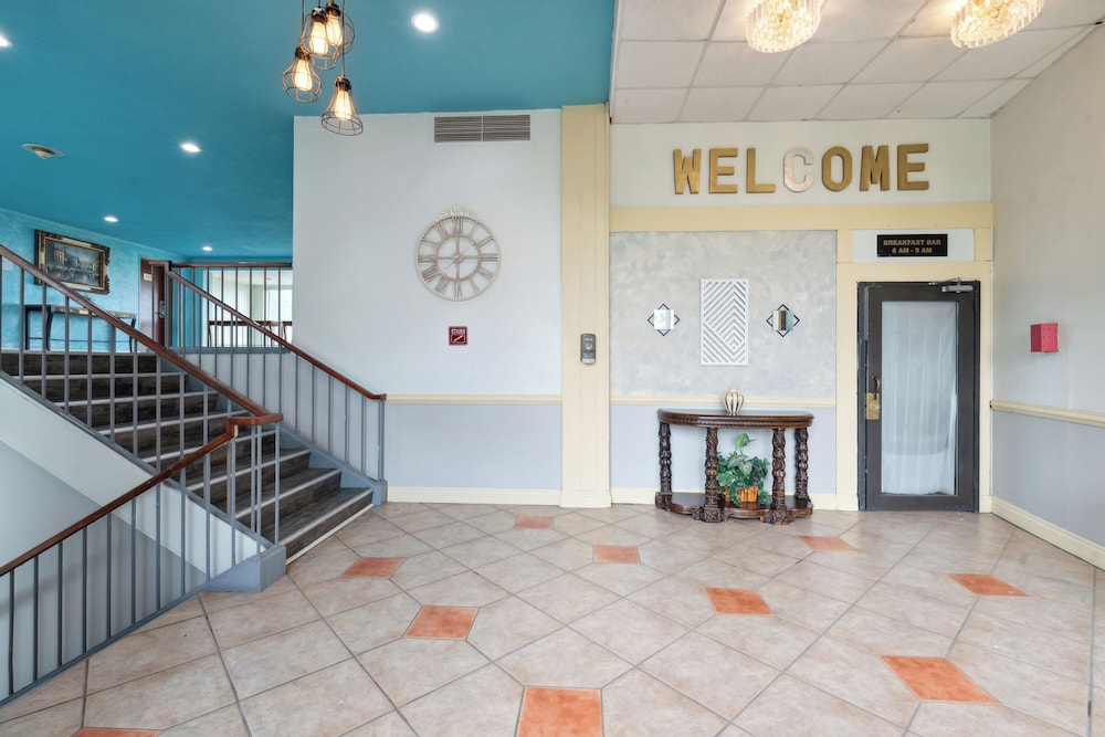 Miami Suites Hotel - photo 6