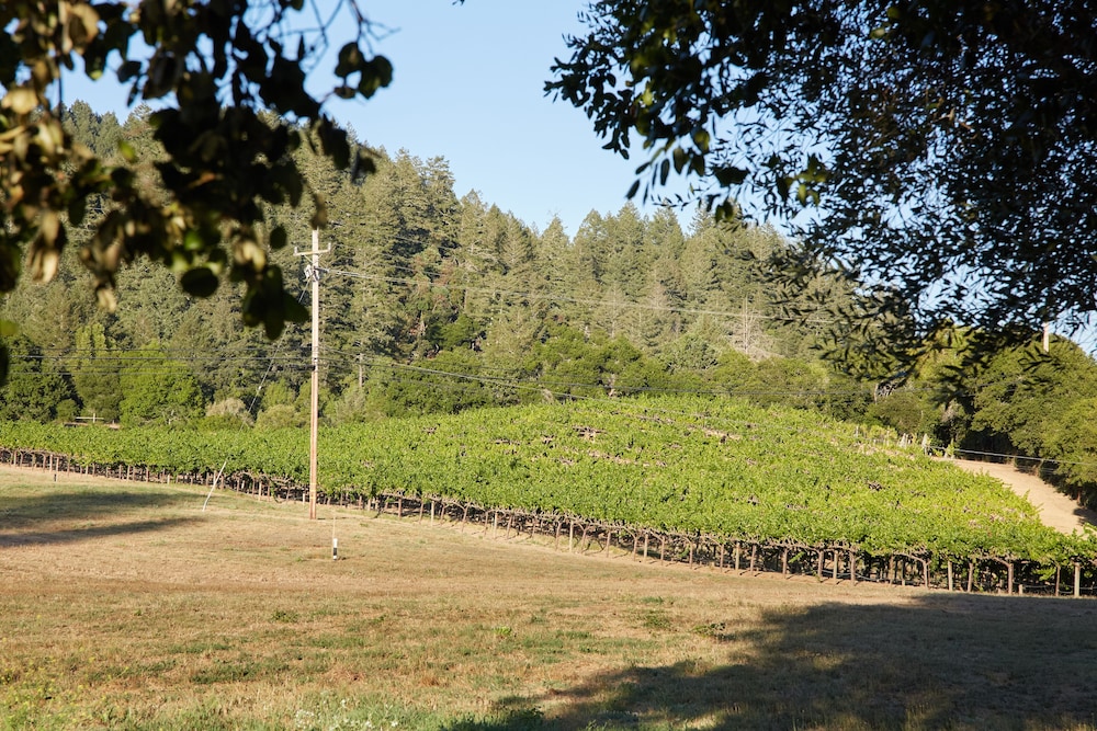 Mine and Farm The Inn at Guerneville CA - photo 53