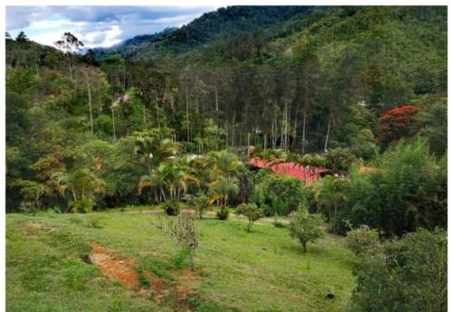 Navarro mountain — Cartago — photo 2