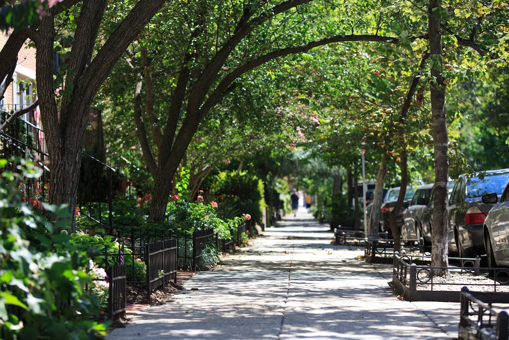 Glover Park Georgetown - photo 48