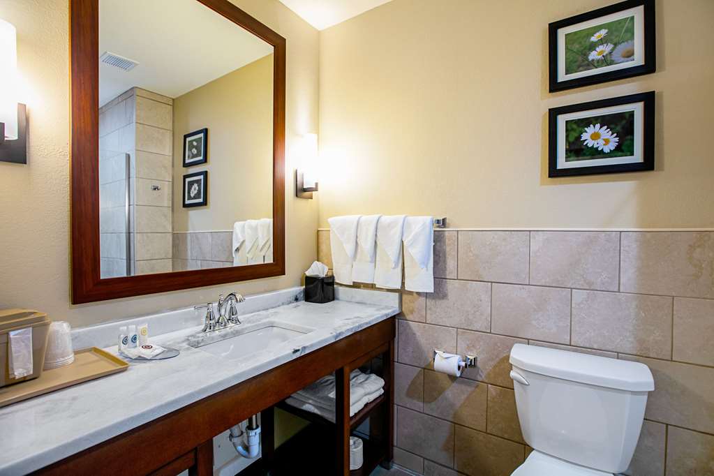 Comfort Suites Fishkill near Interstate 84 - photo 32