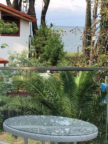 Banovani SEA in Urek'i, Georgia