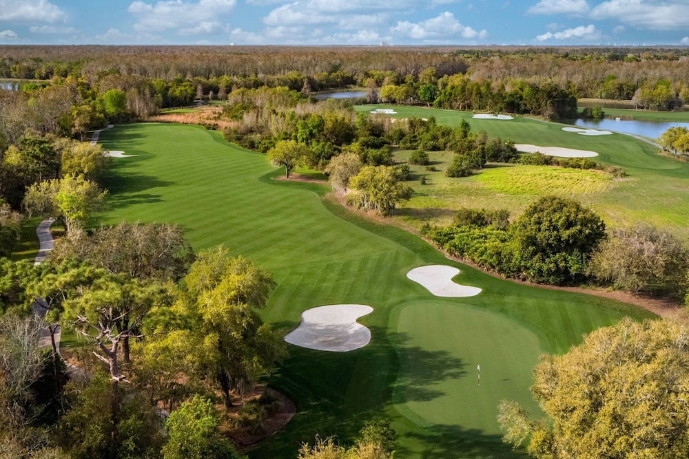 The Ritz Carlton Orlando Grande Lakes - photo 104