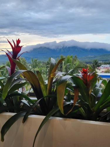 Joldal Residency in Chikmagalur, India