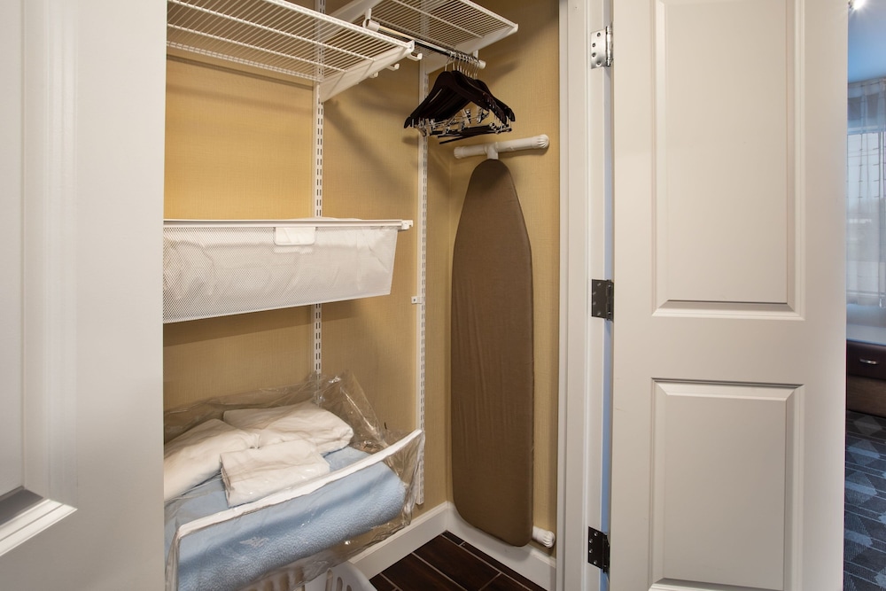 TownePlace Suites by Marriott Detroit Belleville - photo 19