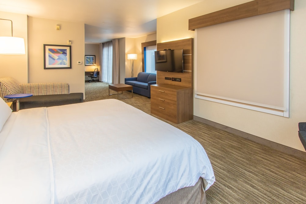 Holiday Inn Express Hotel & Suites Roseville Galleria Area by IHG - photo 21