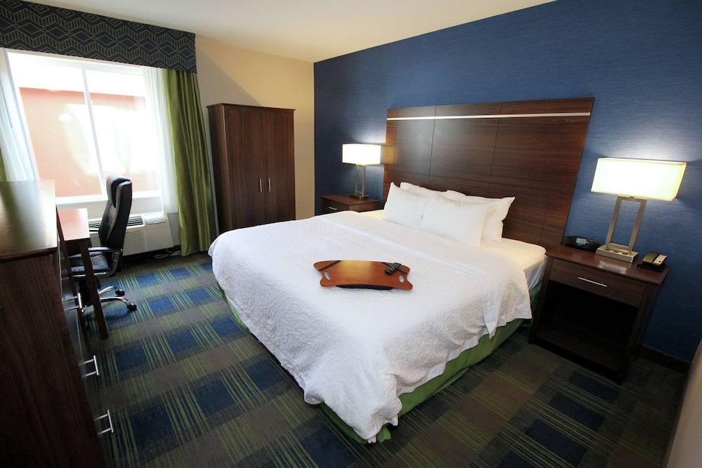 Hampton Inn Sandusky Central - photo 7