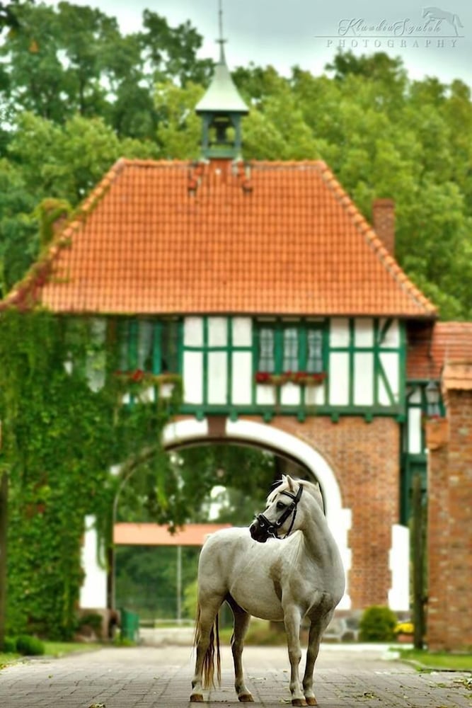 Kadyny Folwark Hotel & SPA Tolkmicko