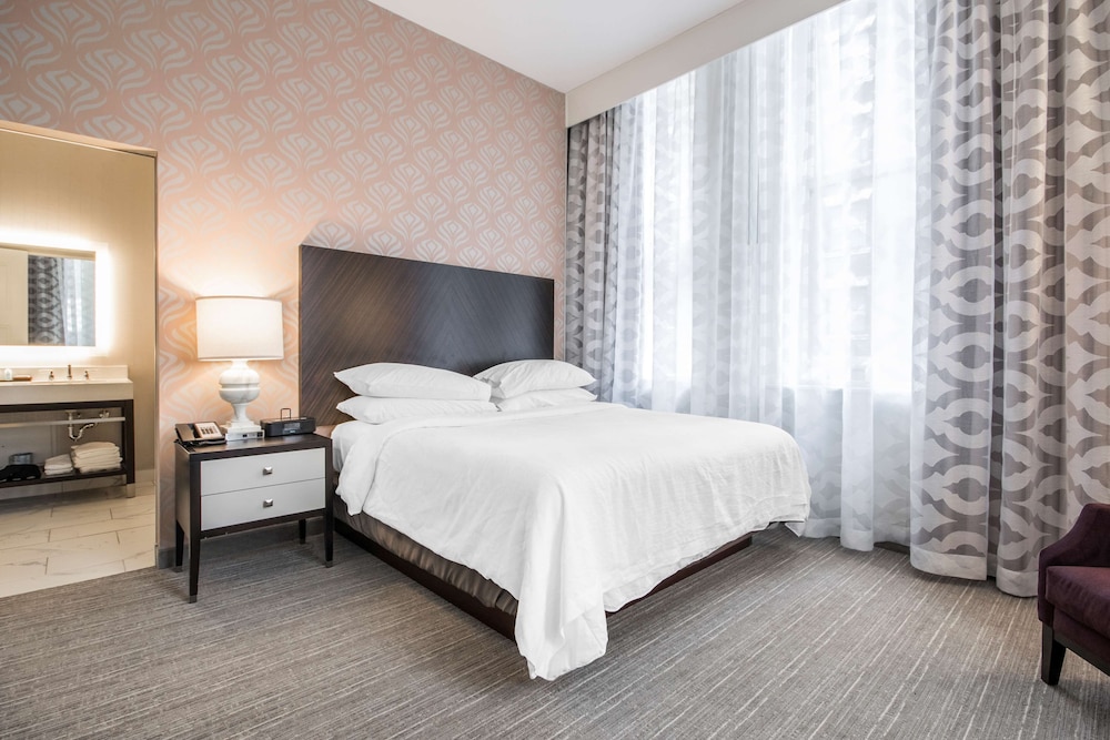 Embassy Suites Louisville Downtown - photo 24