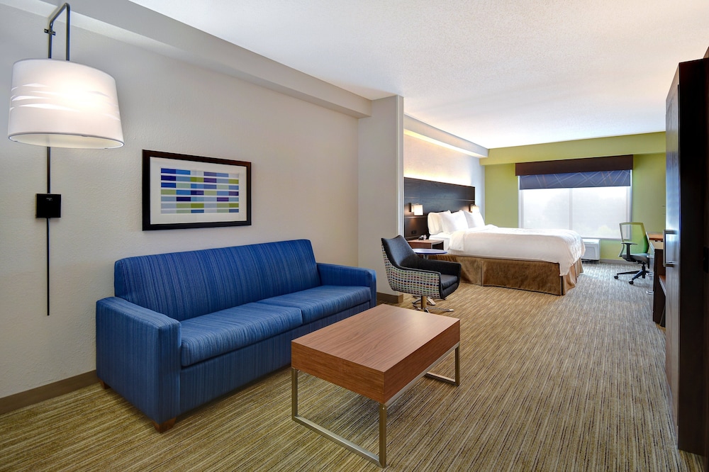 Holiday Inn Express & Suites Smyrna - photo 5