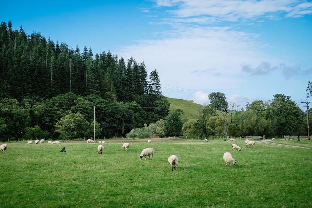 The Sun Inn at Pooley Bridge — hotel in Penrith