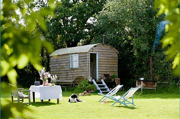 Mollies Hut — Frome