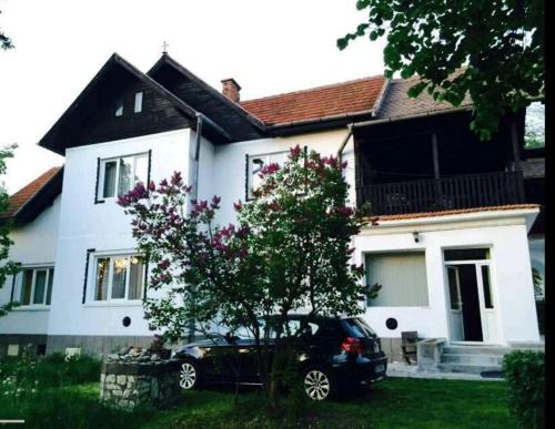 The land of the appletrees in Bran, Romania