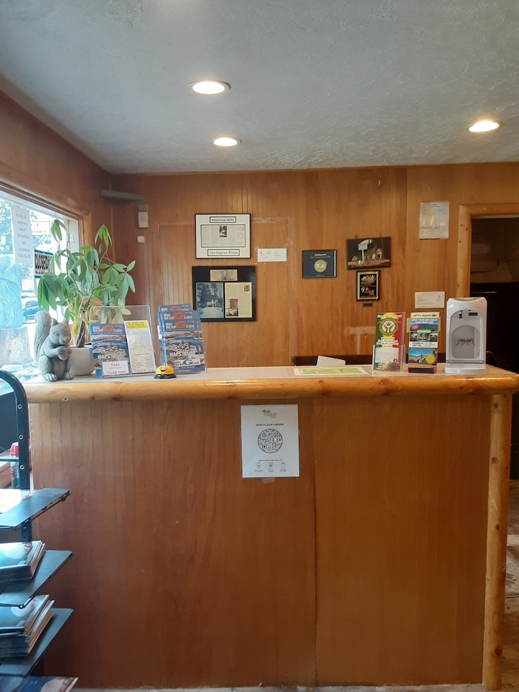 Grey Squirrel Resort - photo 3