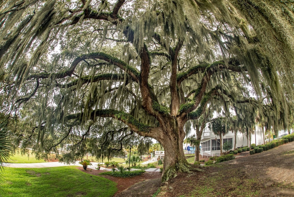 Oaks on the River - photo 41