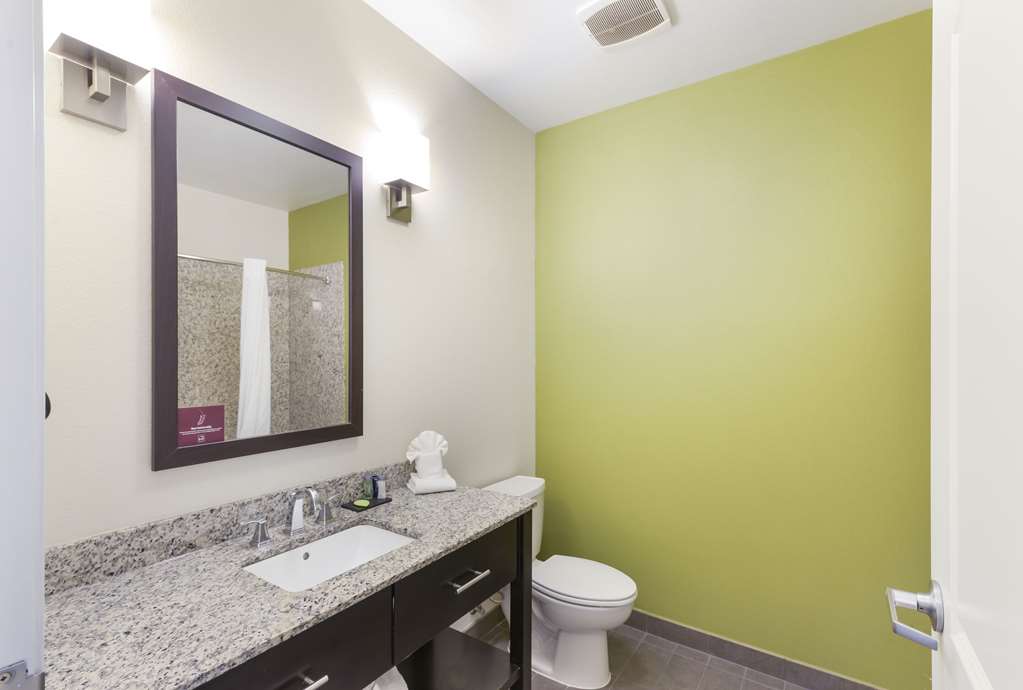 Sleep Inn & Suites Midland West - photo 25