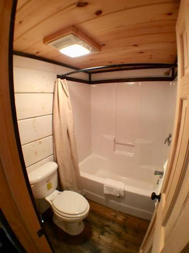 Tiny Home Cottage Near the Smokies #5 Fleur - photo 11