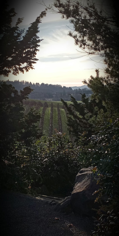 The Boutique Retreat - photo 49