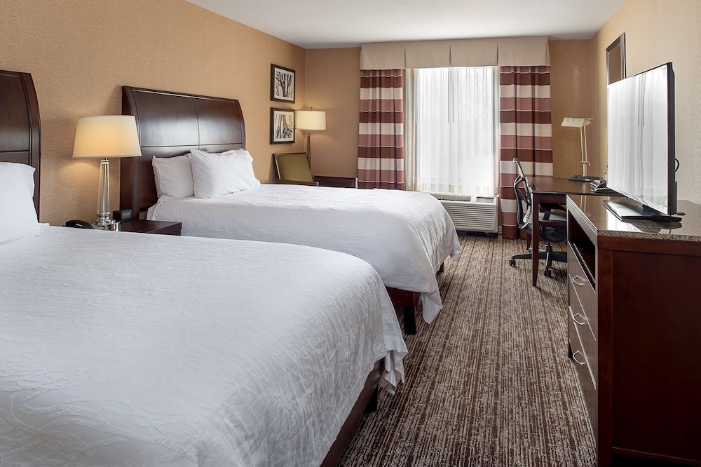 Hilton Garden Inn St. Louis Airport - photo 6