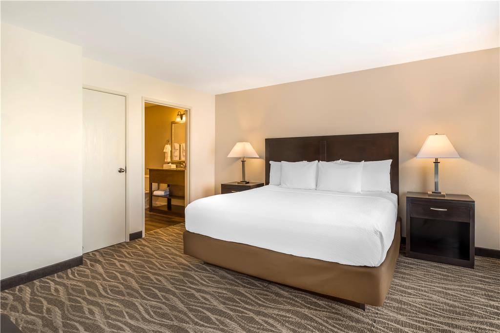 Best Western Plus Valdosta Hotel & Suites - photo 11