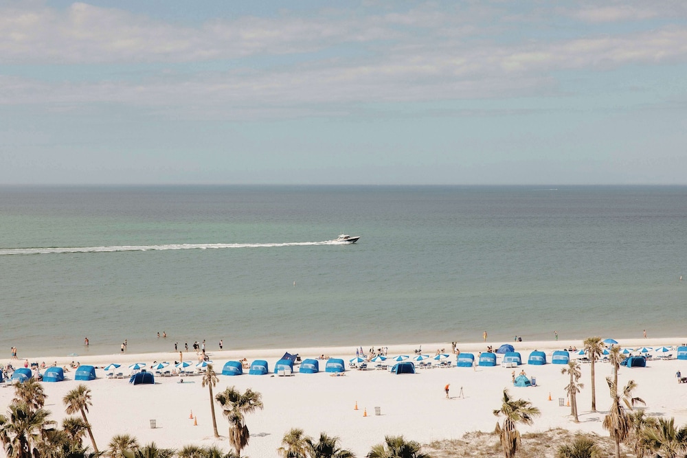The Hiatus Clearwater Beach Curio Collection By Hilton - photo 112