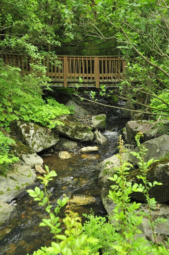 Stay Berkshires - photo 48