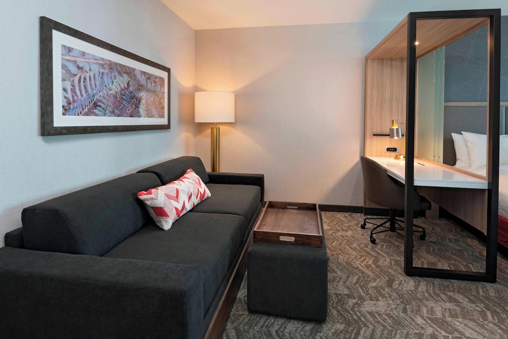 SpringHill Suites by Marriott Denver West Golden - photo 7