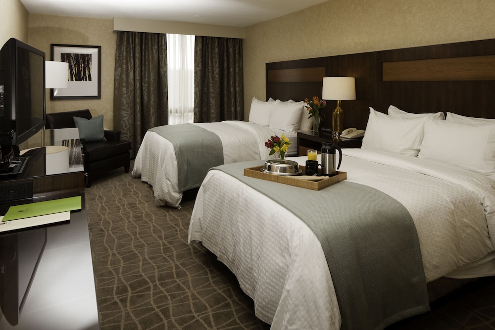 DoubleTree by Hilton Pittsburgh Green Tree - photo 6