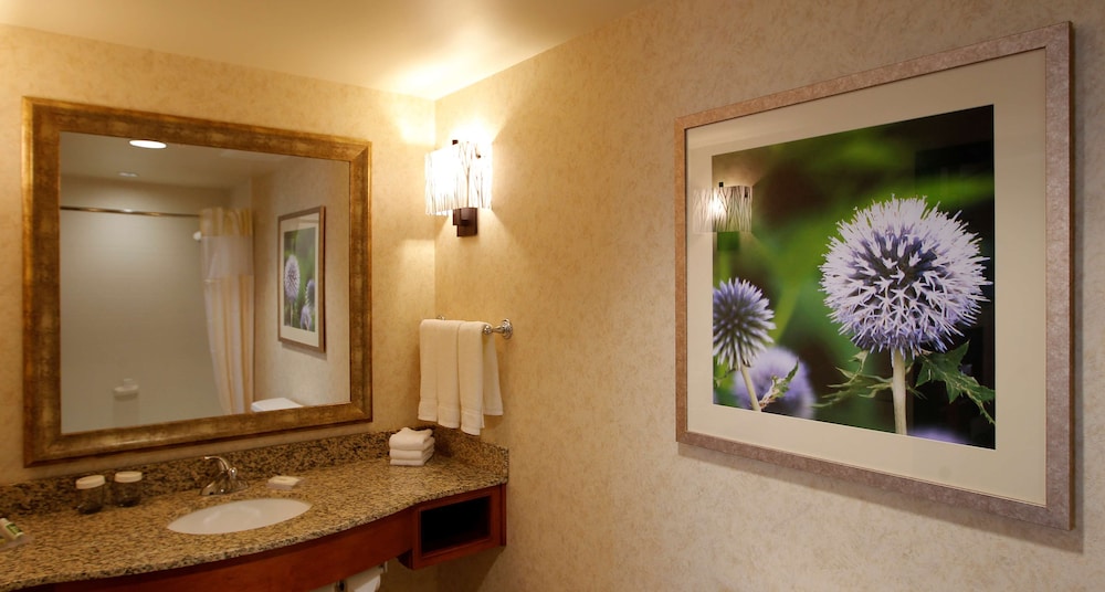 Hilton Garden Inn Cedar Falls - photo 31