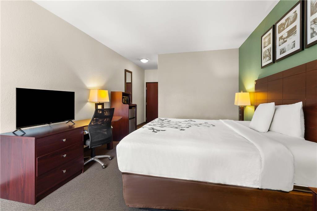 Sleep Inn & Suites Bush Intercontinental IAH East - photo 14