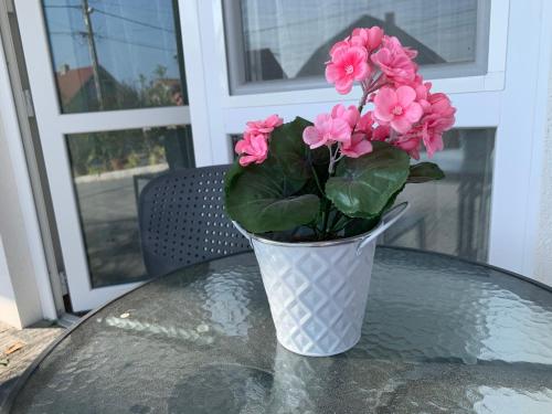Gesztenye ApartmanhAz — Zalakomar — photo 2