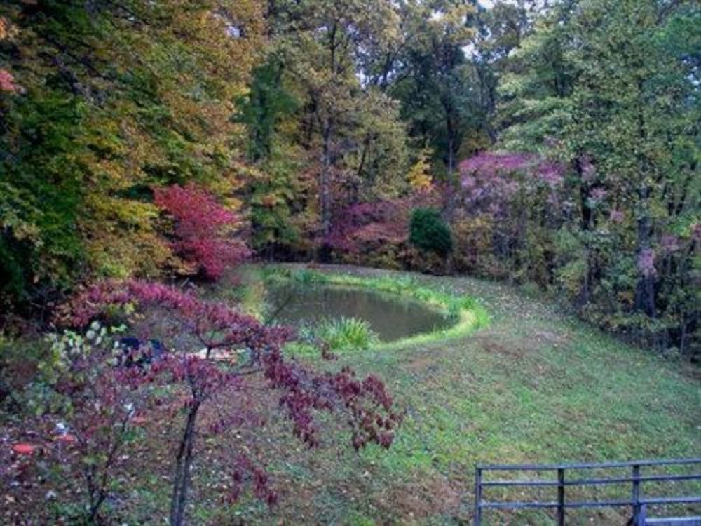 Lil Black Bear Inn - photo 107