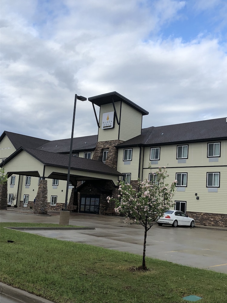 Black Gold Suites Stanley - photo 19