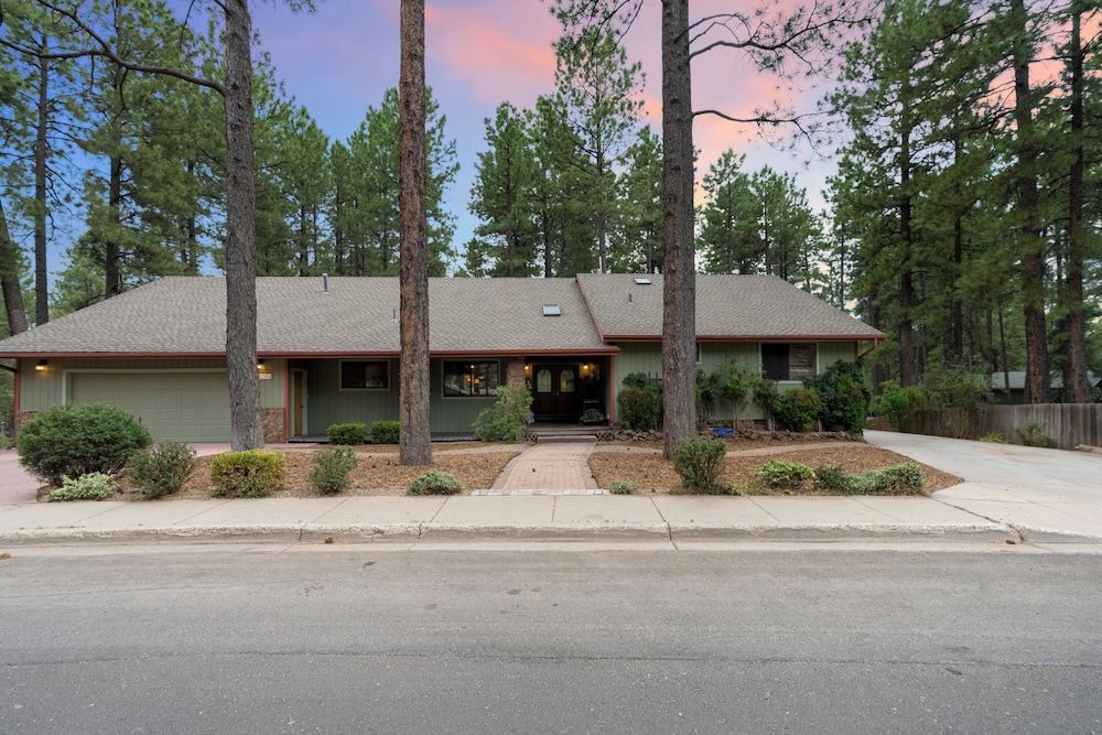 Coy in Flagstaff, United States