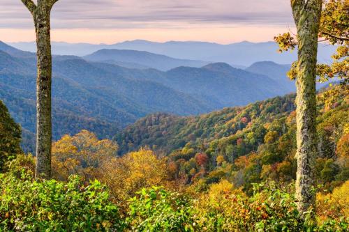 Mill Stream Cottage — 4-Star Luxury Hotel in Pigeon Forge, United States