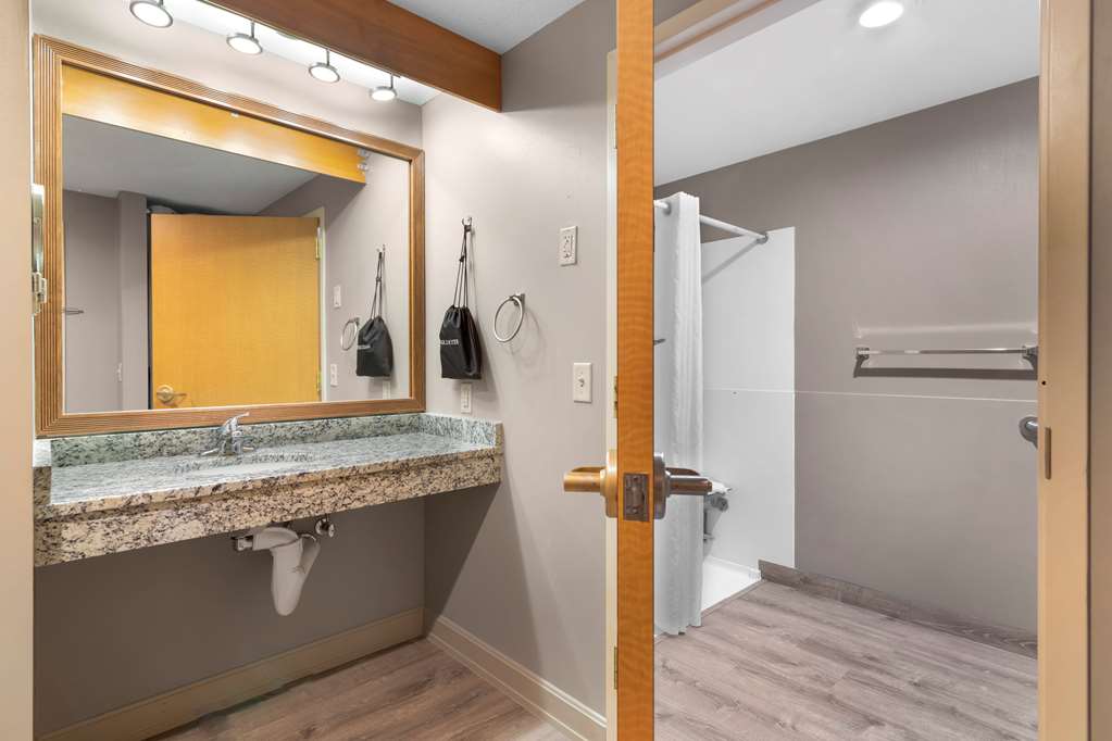 Best Western PLUS Executive Court Inn & Conference Center - photo 57