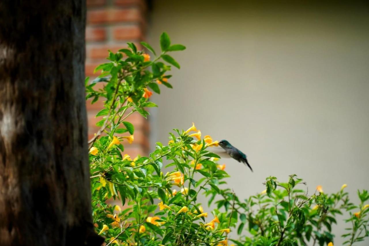 Rancho Pedra do Picú - last minute hotel in Unknown City