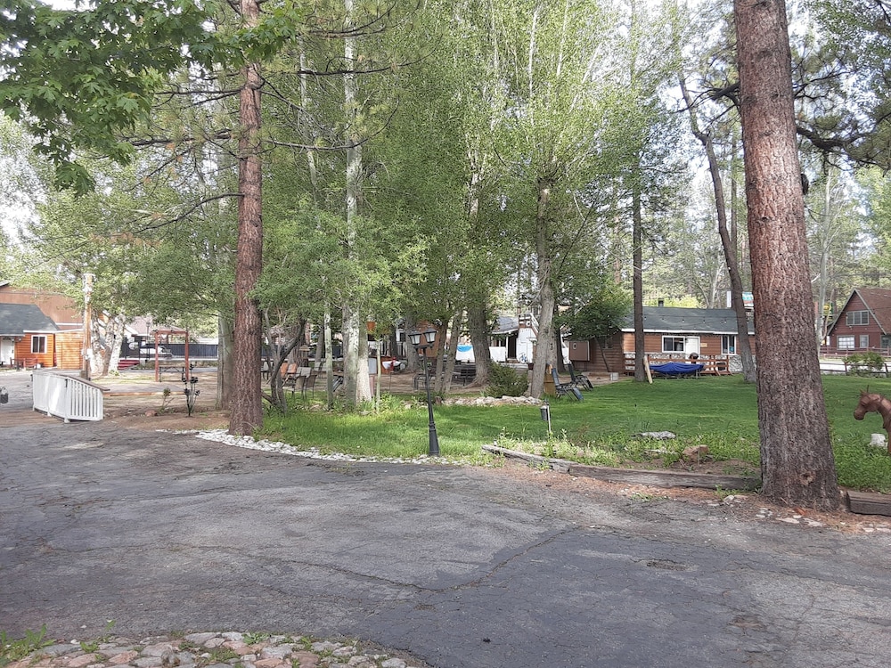 Grey Squirrel Resort - photo 176
