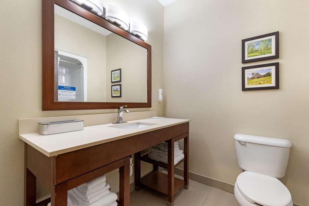 Comfort Suites Cedar Falls Industrial Park - photo 10