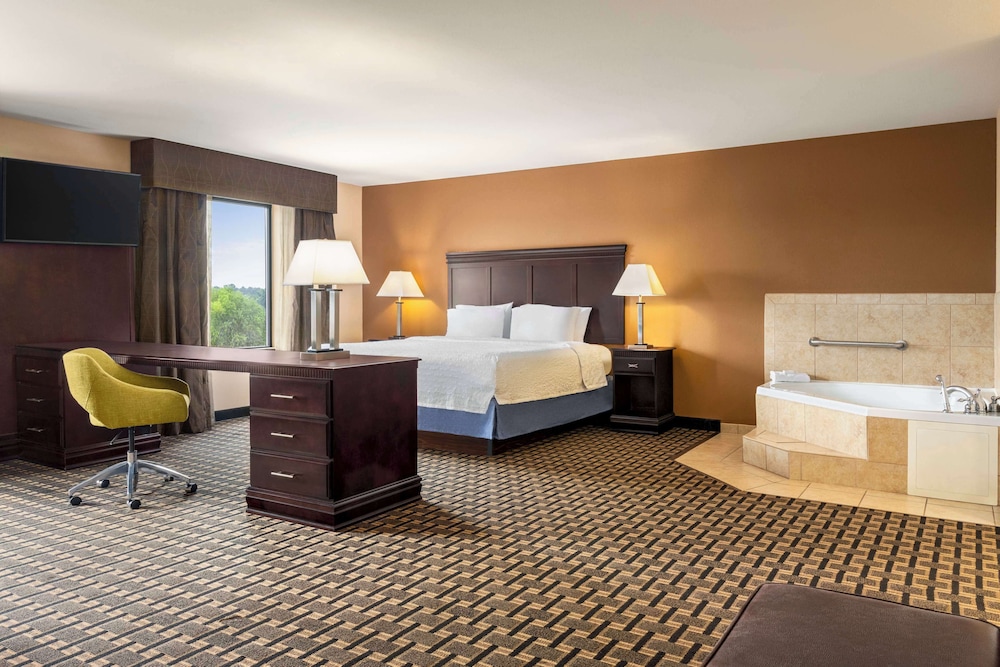 Hampton Inn and Suites Pine Bluff - photo 12
