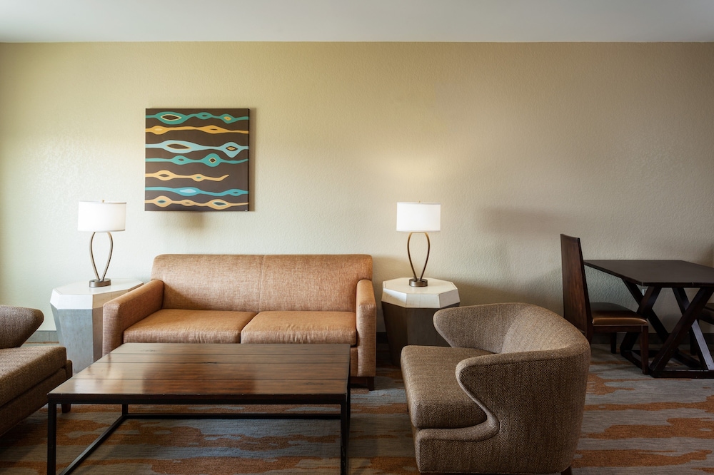 Holiday Inn San Antonio Seaworld by IHG - photo 6