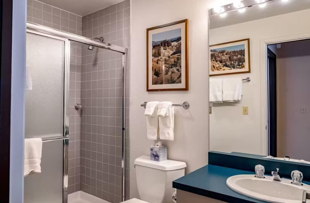 Snowmass Village by Gondola Resorts - photo 57