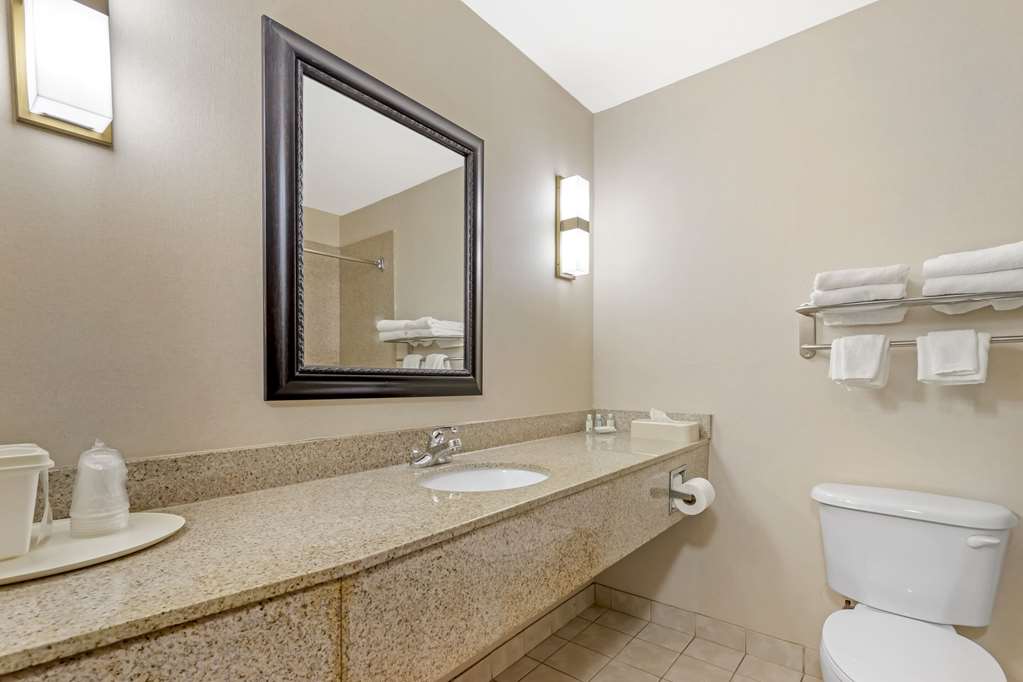 Quality Inn Raleigh Downtown - photo 18