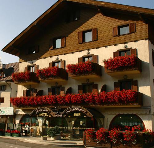 Hotel International — Tarvisio