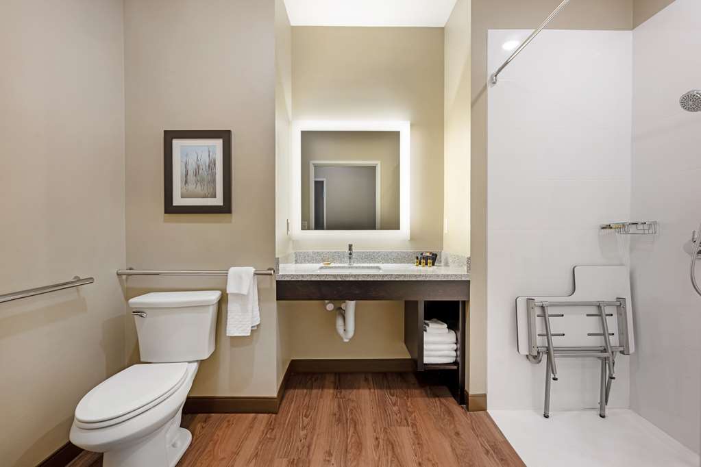 Best Western Plus Lakeview Hotel - photo 31