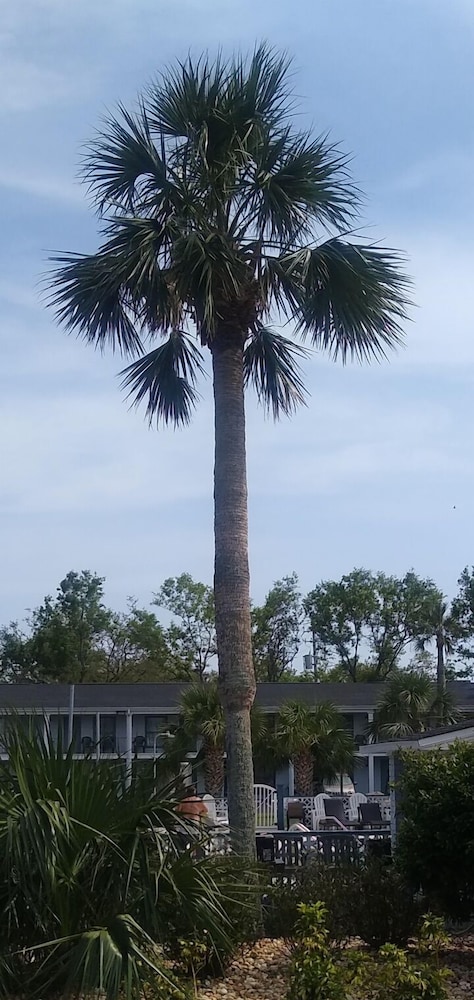 Gulf Coast Inn - photo 58
